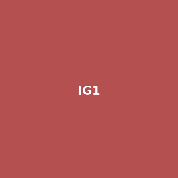 IG1